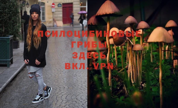 крисы Белоозёрский