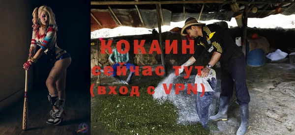 крисы Белоозёрский