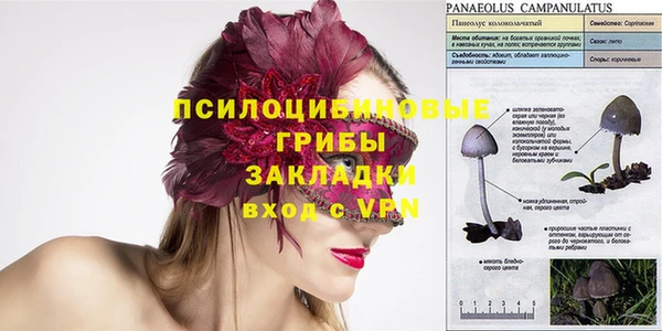 молекула духа Беломорск