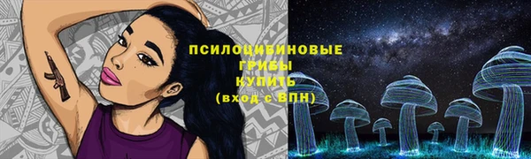 крисы Белоозёрский