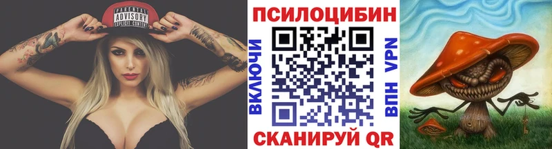 блэк спрут рабочий сайт  Верхотурье  Псилоцибиновые грибы мицелий 